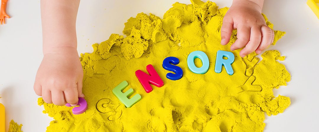 Sensory Seeking vs. Sensory Avoiding: What’s the Difference?